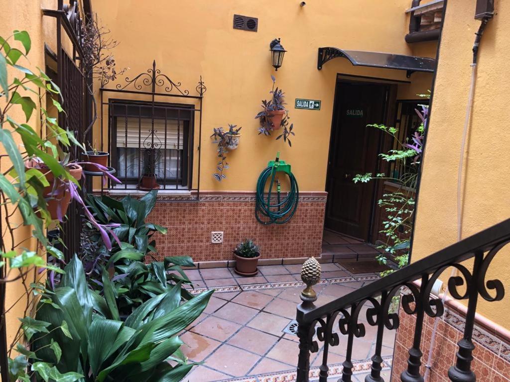Apartamento Family Vista