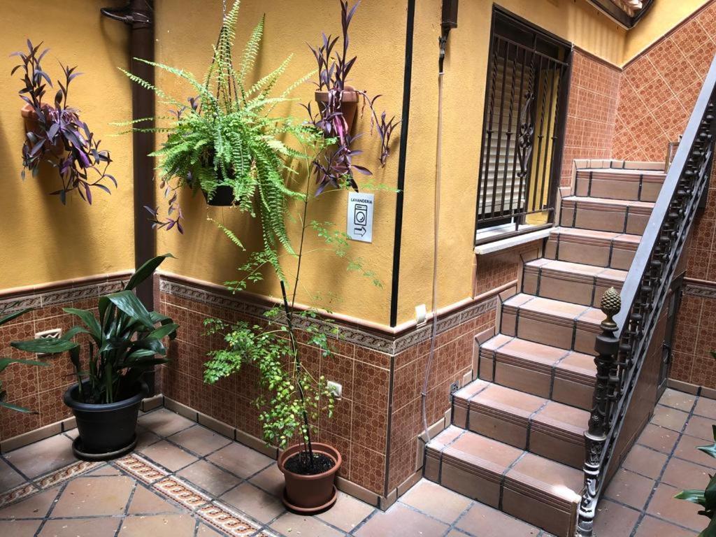 Family Vista Apartment *